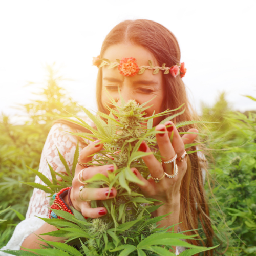 Women smelling canabis plant